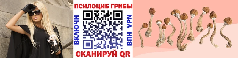 Галлюциногенные грибы прущие грибы  Дигора 